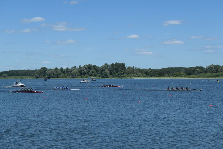 P1065733.JPG 